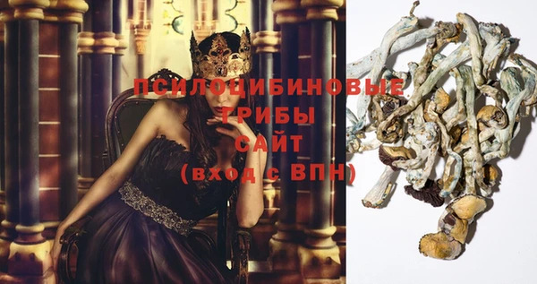 не бодяженный Осинники