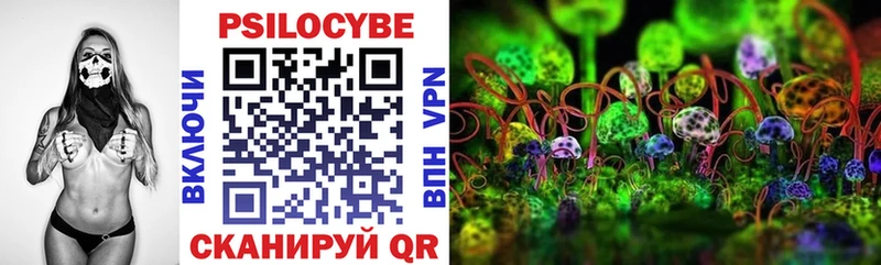 Галлюциногенные грибы Cubensis Ак-Довурак