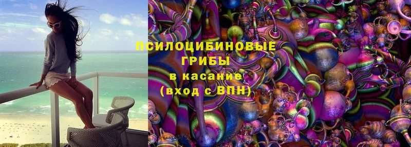 Галлюциногенные грибы MAGIC MUSHROOMS  Ак-Довурак 