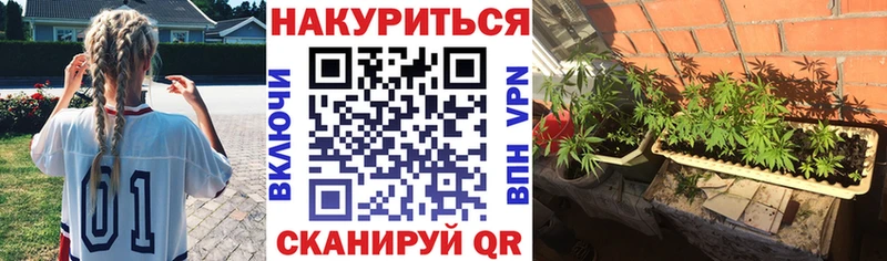 Конопля AK-47  Ак-Довурак 